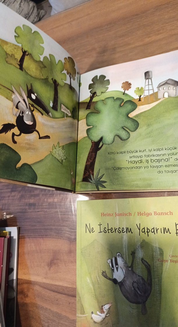 Çocuk Kitapları Seti - 4 Kitap - Görsel 4