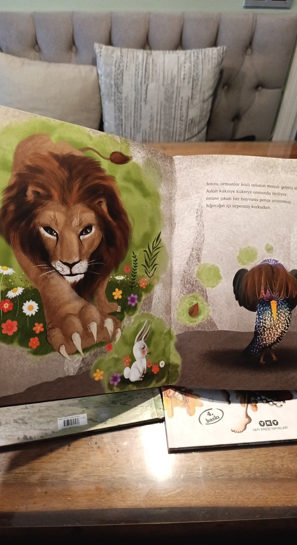 Çocuk Kitapları Seti: Macera ve Hayal Dünyası - Görsel 4
