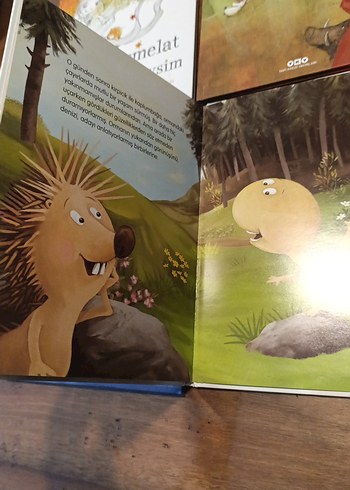 Çocuklar İçin 4 Kitap Seti - Görsel 2