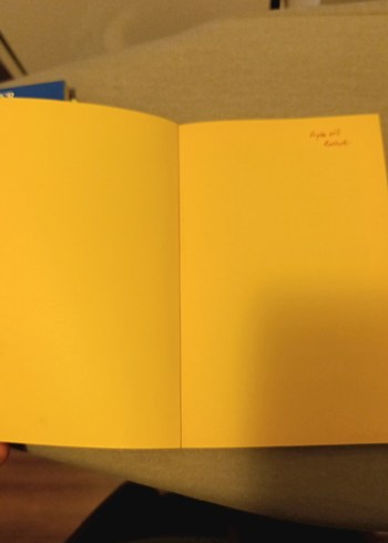 Rıfat Ilgaz - Öksüz Civciv - Görsel 3