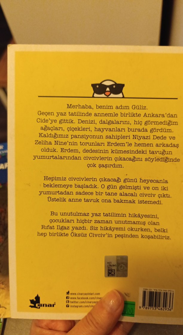 Rıfat Ilgaz - Öksüz Civciv - Görsel 2