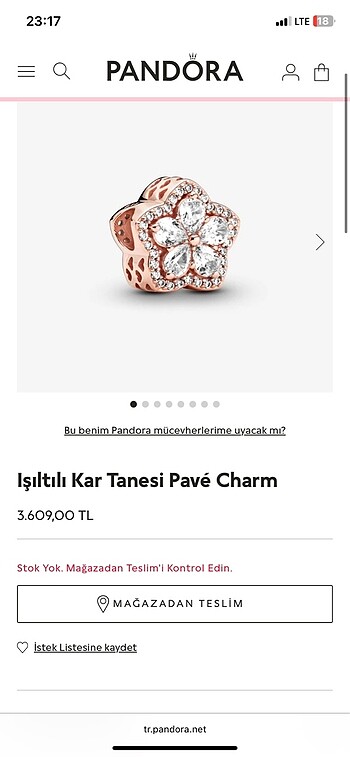 pandora charm