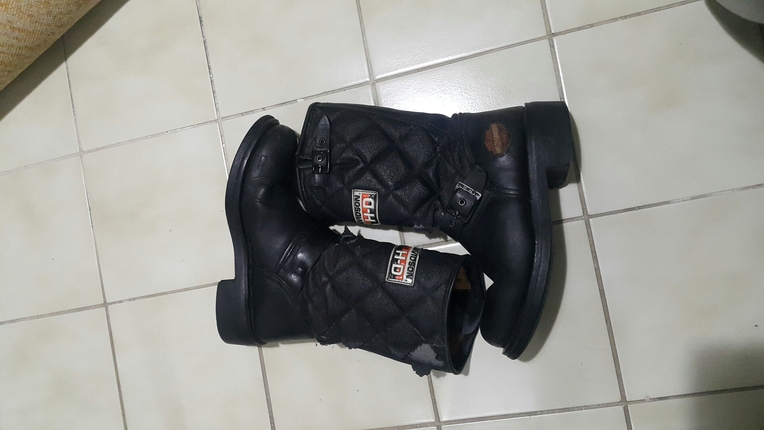 Harley orjinal
