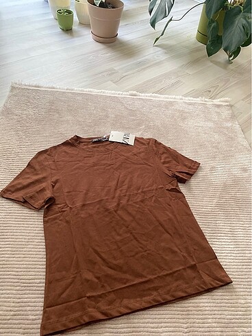 Zara Zara kahverengi tişört
