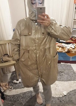 Altın yagmurluk ruzgarlik