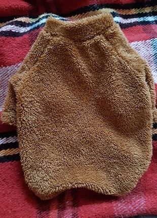 Kedi/köpek kıyafeti 