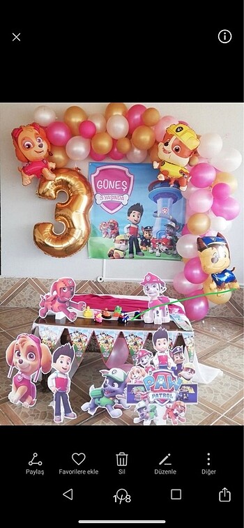 Paw patrol parti seti