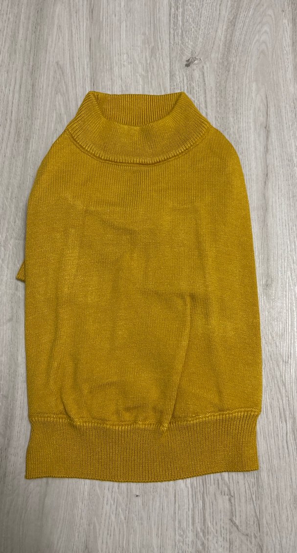 Sarı Örgü Sokak Stili Köpek Kıyafeti - Görsel 4