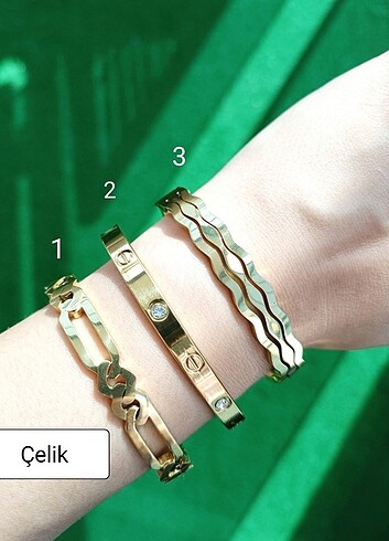 Pandora Çelik bileklik ?