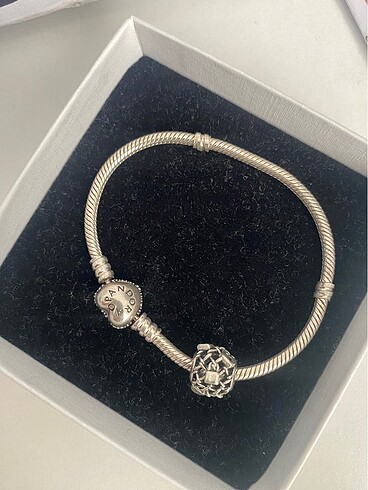 Pandora pandora