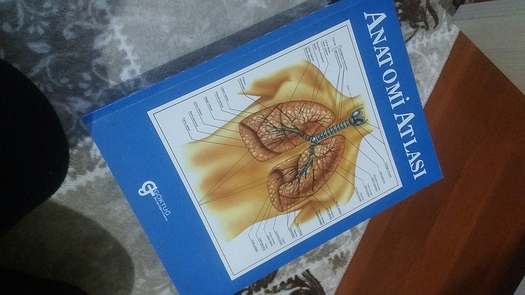 anatomi kitabi