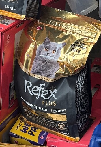 British shorthair yetişkin kedi maması 1,5 kg