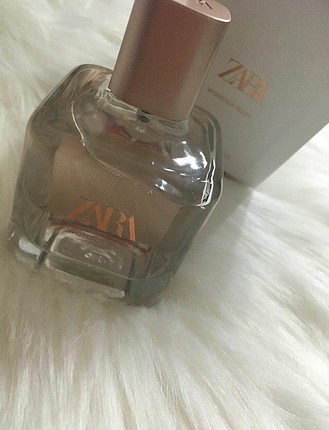 Zara wonder rose