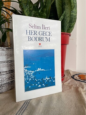 Her Gece Bodrum