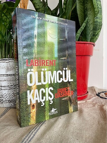 Labirent Ölümcül Kaçış