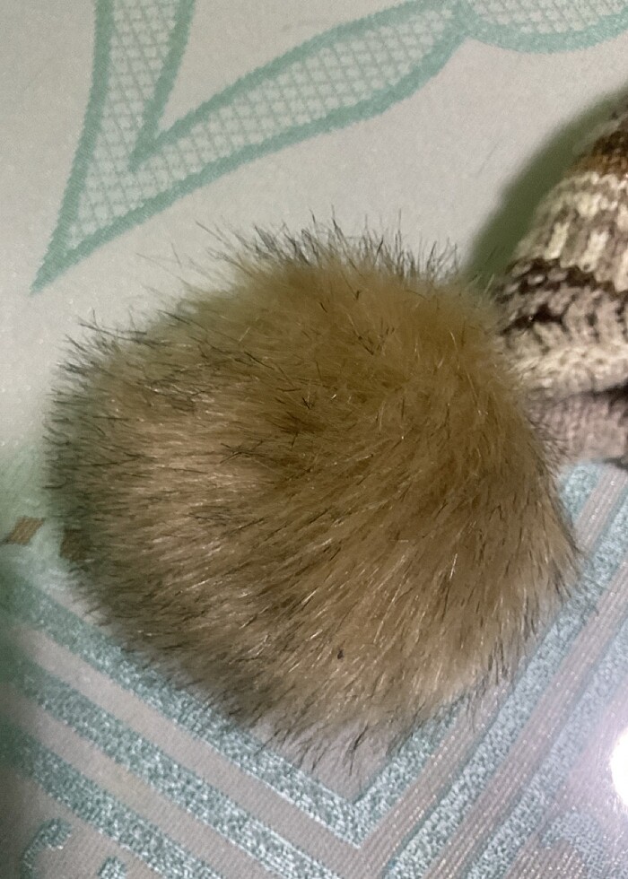 Şapka kışlık - Görsel 3