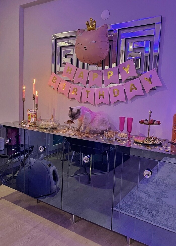 Tütülü Kedi Kostümü - Görsel 4