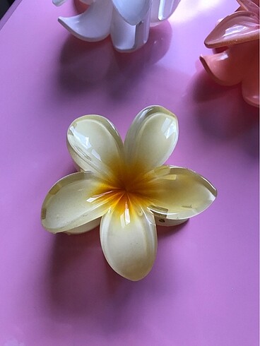 Aloha - lotus mandal toka SARI
