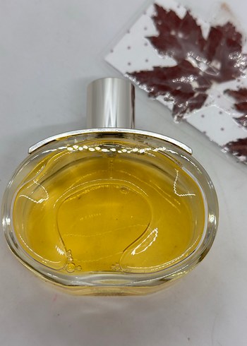 Hermes barenia 100 ml edp - Görsel 4