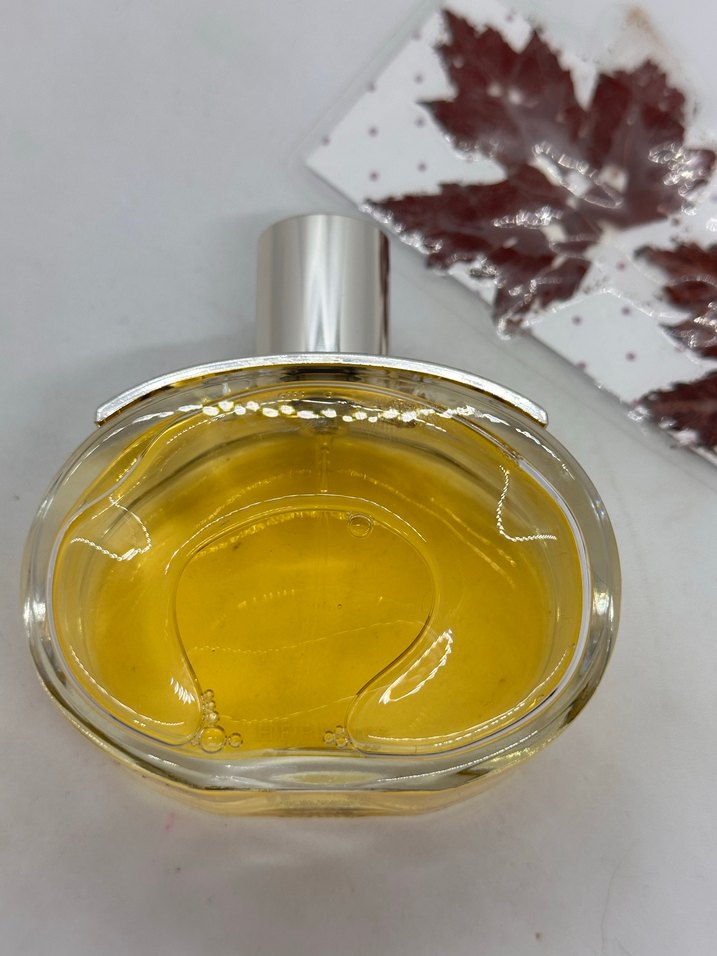 Hermes barenia 100 ml edp - Görsel 4