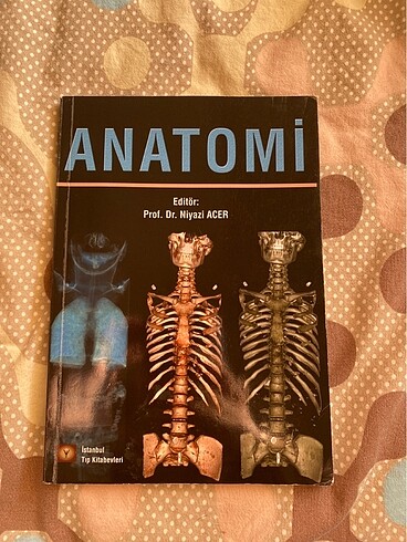 Anatomi