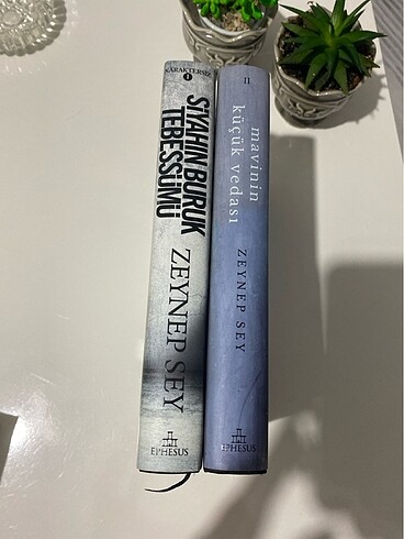Siyahın buruk tebessümü, mavinin küçük vedası Zeynep sey
