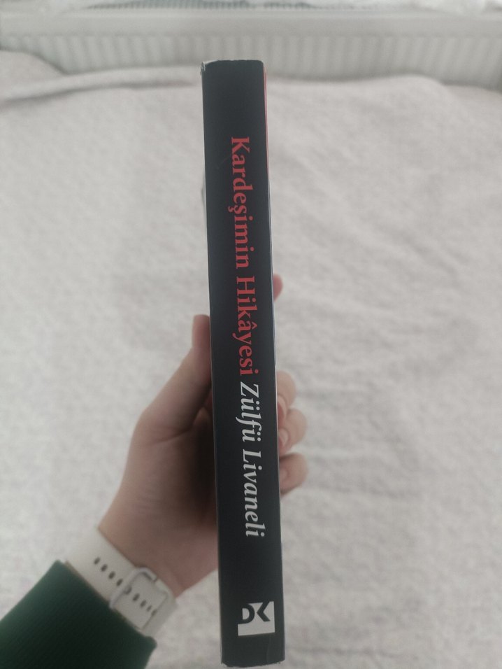 Livaneli - Kardeşimin Hikayesi Roman - Görsel 3