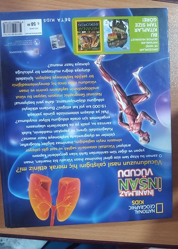 İnanılmaz İnsan Vücudu - National Geographic Kids