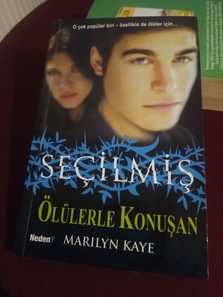 Marilyn Kaye'den Seçilmiş iki kitabi - Görsel 2