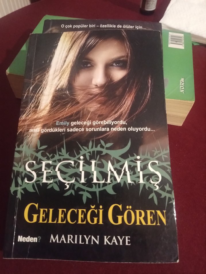 Marilyn Kaye'den Seçilmiş iki kitabi - Görsel 5