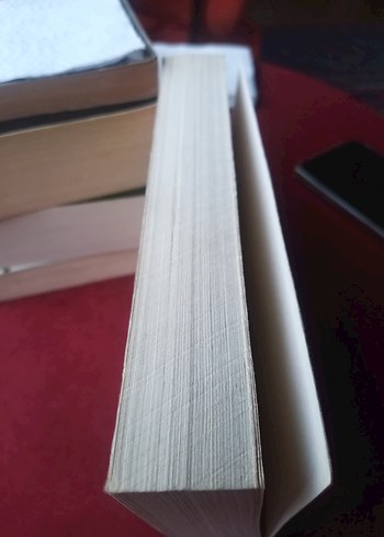 Gülüm, Demet Altınyeleklioğlu - Görsel 3