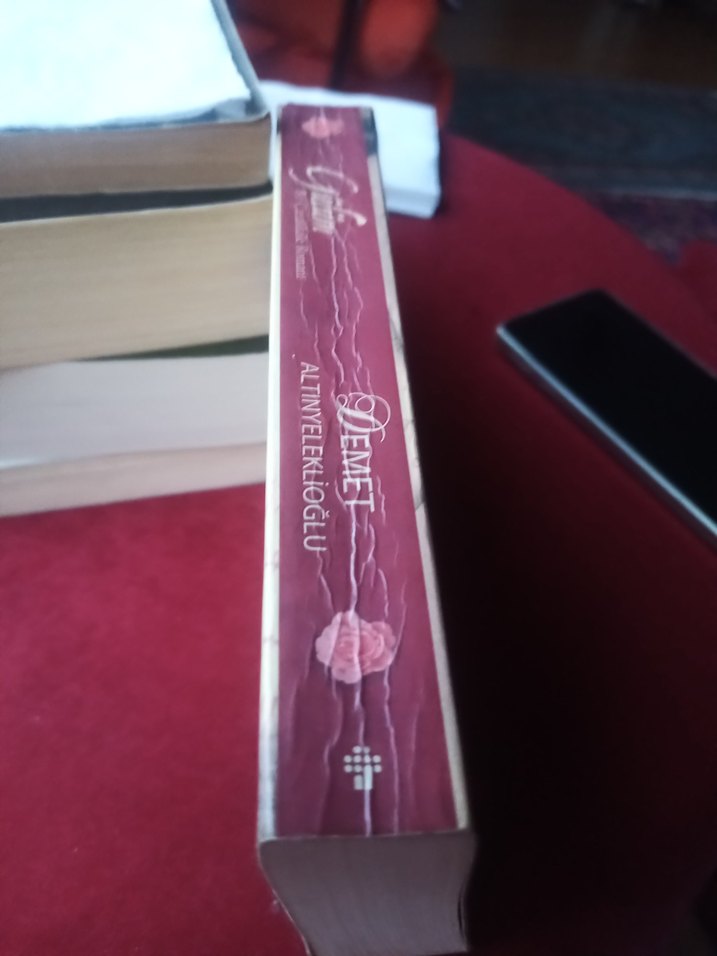 Gülüm, Demet Altınyeleklioğlu - Görsel 4