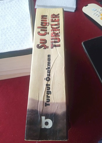 Şu Çılgın Türkler - Turgut Özakman - Görsel 4