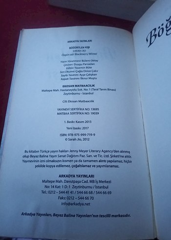 Böğürtlen Kışı - Sarah Jio - Görsel 5