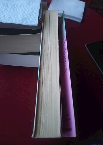 Böğürtlen Kışı - Sarah Jio - Görsel 3