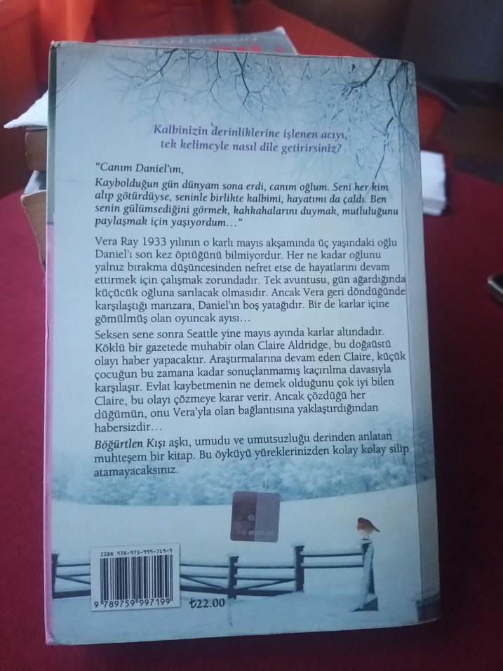 Böğürtlen Kışı - Sarah Jio - Görsel 2