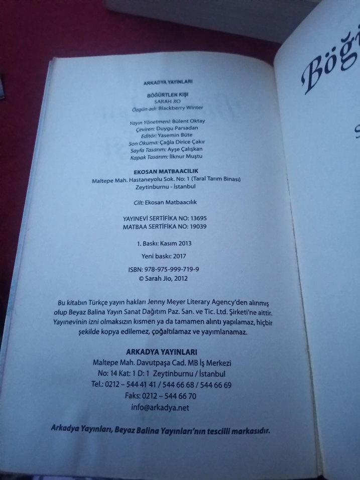 Böğürtlen Kışı - Sarah Jio - Görsel 5