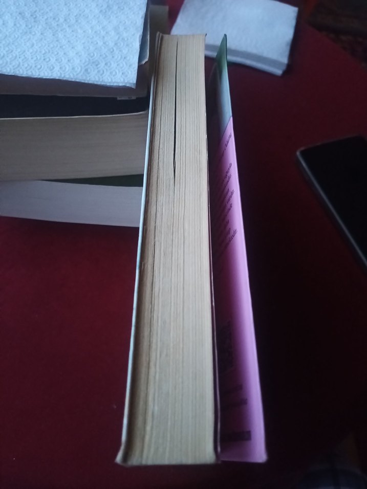 Böğürtlen Kışı - Sarah Jio - Görsel 3