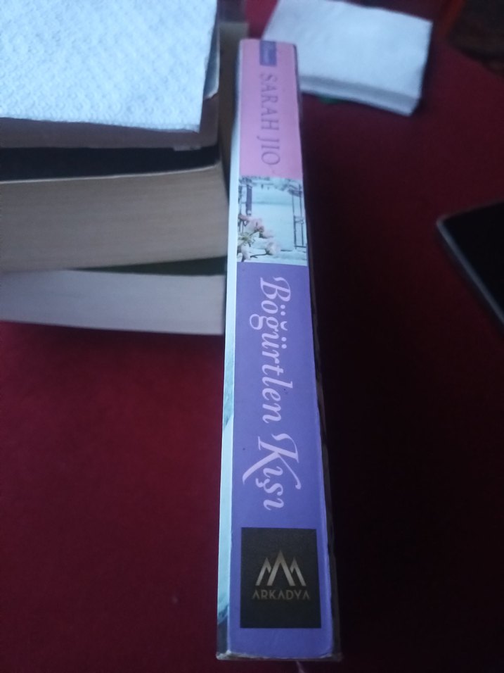 Böğürtlen Kışı - Sarah Jio - Görsel 4