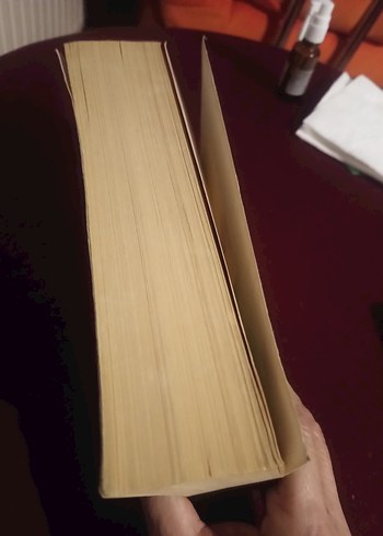 Sefiller - Victor Hugo - Görsel 4