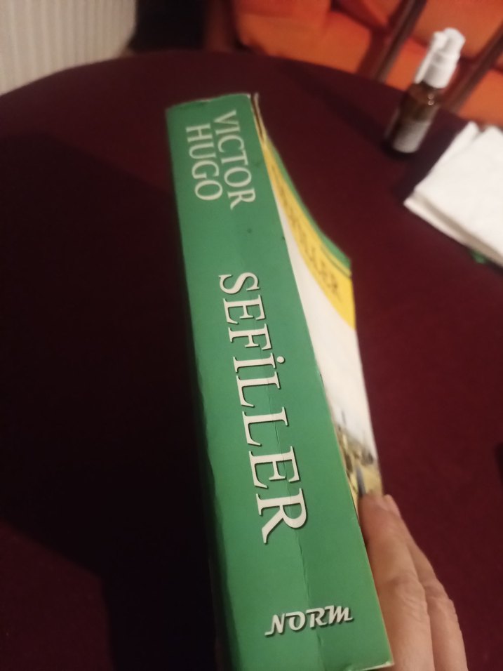 Sefiller - Victor Hugo - Görsel 3