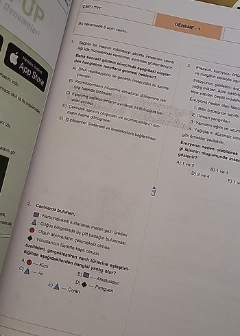  Beden Renk Biyoloji TYT Deneme Kitabı 36x6