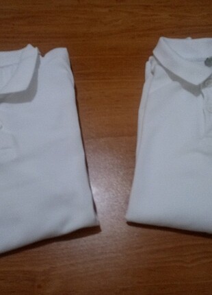Lacoste bady