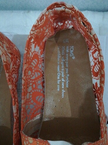 36 Beden Toms babet