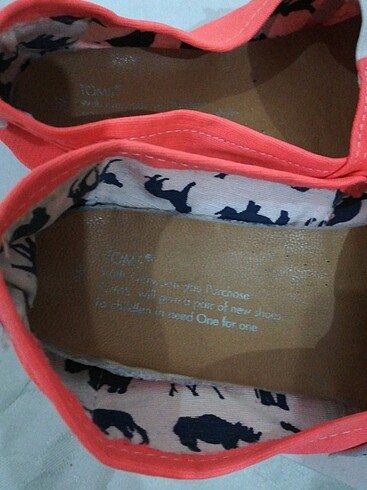 37 Beden Toms babet