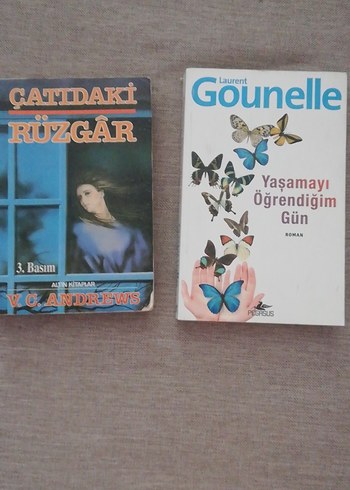 Çatıdaki Rüzgar & Yaşamayı Öğrendiğim Gün Romanları