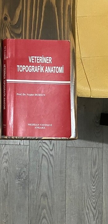 Veteriner topografik anatomi