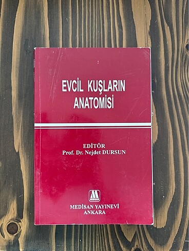 Evcil kuşların anatomisi