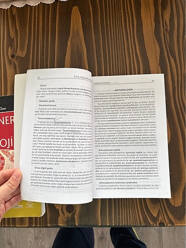  Evcil kuşların anatomisi