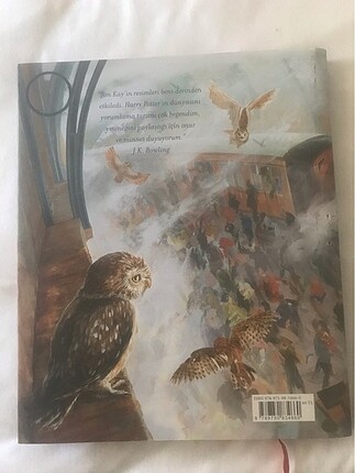 Harry potter felsefe taşı ciltli büyük